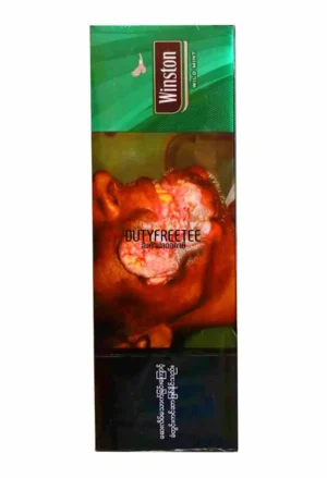 Winston Wild Mint