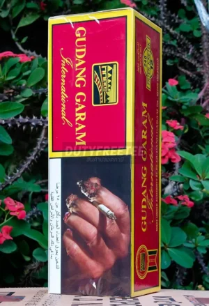 Gudang Garam International