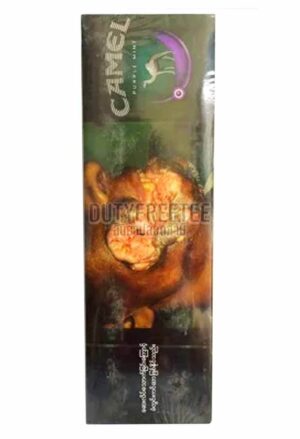 Camel Purple Mint