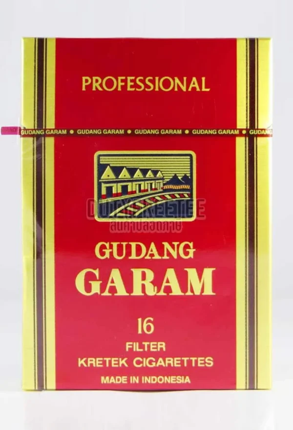 Gudang Garam Professional