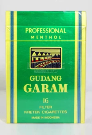 Gudang Garam Professional Menthol 16